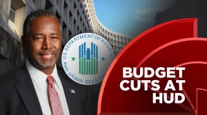 Ben Carson Cuts